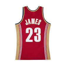 Mitchell & Ness Tank Top Lebron James Rood