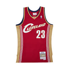 Mitchell & Ness Tank Top Lebron James Rood