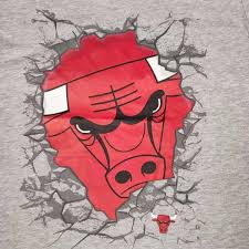 NBA Chicago Bulls - Kids - T-Shirt Grijs