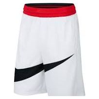 Nike Dri Fit HBR Short Wit