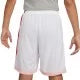 Nike Dry-Fit Unisex Short