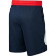 Nike Short Swoosh Blue/Red