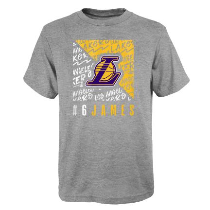 Los Angeles Lakers Lebron James T-Shirt Grijs